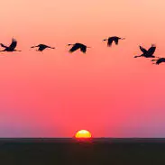 unique sunrise dp unique sunrise dp